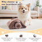 BEVERLYSHARK Beverly Shark Puppy Heartbeat Toy Dog Anxiety Relief Calming Aid Puppy Heartbeat Stuffed Animal Behavioral Training Sleep Aid Comfort