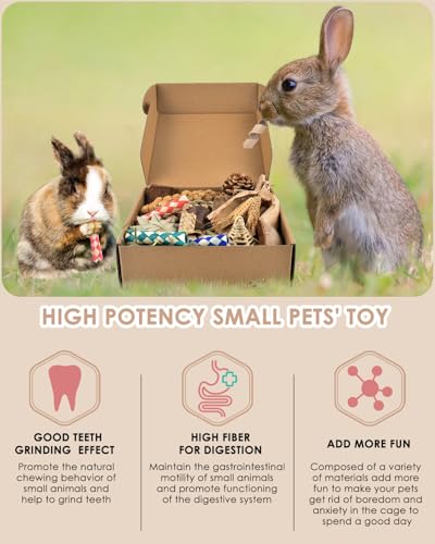 Bissap Rabbit Chew Toy, Natural Bunny Treats Snacks with Timothy Hay Water Grass Mat Coconut Husk Box for Guinea Pigs Chinchillas Hamsters Gerbils and Other Small Pets Teeth Grinding