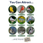 Valley Farms Super Deluxe Wild Bird Food for Outside feeders - 0% fillers - Loads of Sunflower Seed - w/Peanut kernels -Feed More Birds w/Less Seed (4 LBS)