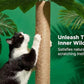 31.5Inch Cat Scratching Post,Cat Scratcher Tree with 3 Scratching Poles & 2 Interactive Dangling Balls,Cats Scratching Posts for Indoor Kitten & Adult Cats