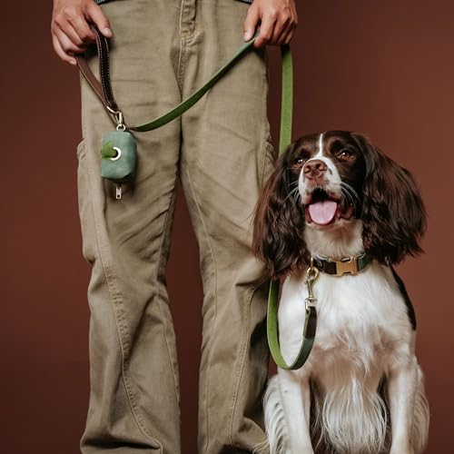 Didog PU Leather Dog Leash for Medium Dogs 5ft, Soft Padded Handle Dog Leashes, Easy to Clean, Walking and Training Leashes Faux Leather for Medium