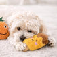Jalousie 18 Pack Dog Squeaky Toys Cute Stuffed Pet Plush Puppy Chew for Small Medium Pets - Bulk