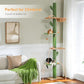PAWZ Road Cat Tree, Cactus Floor to Ceiling Cat Tower with Adjustable Height(95-108 Inches), 5 Level Cat Climbing Tower with Cozy Hammock, Platforms and Dangling Balls for Indoor Cats