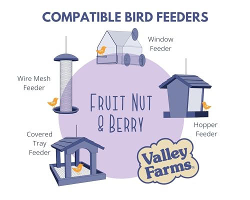 Valley Farms Fruit Nut & Berry (4 LB) Wild Bird Food Outside Feeders, Bird Seed with Dried Fruit, Peanuts, Sunflower, and Safflower, High Energy Mix for Healthy Birds!