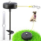 30ft Dog Tie Out Cable and Stake, 360°No Tangle Heavy Spiral Dog Steel Anchor and Retractable Leash for Small to Large Dogs Up to 10-90 lbs Lead for