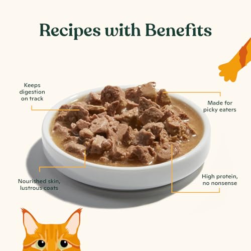 Made by Nacho Wet Cat Food, Cuts in Gravy, Limited Ingredients, Grass-Fed Grain Finished Beef Recipe with Bone Broth for Extra Hydration, (12) 3 oz. Pouches