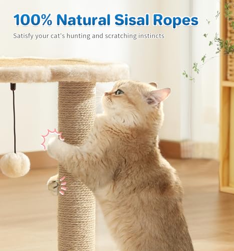 Made4Pets Cat Scratching Post, Cat Self Groomer for Indoor Cats, Cloud Soft Perch for Rest, 17.5" Tall Natural Sisal Scratcher Cat Grooming Interactive Ball Track Toys for Small Cats Kittens