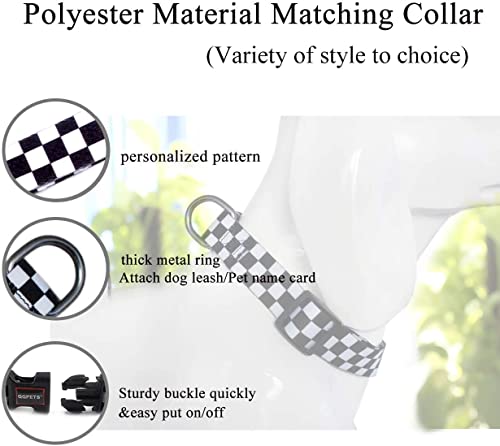 Roses&Poetry Dog Collar and Leash for Small,Adjustable Durable 5ft Puppy Leash Collar for Dog Training Lead（Black & White-S）