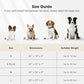 MIXJOY Dog Beds for Small Dogs Cats, Washable Dog Bed with Removable Cover, Soft Calming Cat Bed for Indoor Cats, Rectangle Pet Sofa Bed for Puppy Kitty, Anti-Slip Bottom,20"x19"x6", Beige
