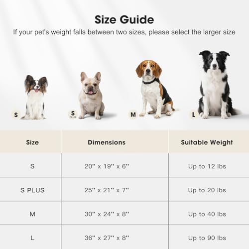 MIXJOY Dog Beds for Small Dogs Cats, Washable Dog Bed with Removable Cover, Soft Calming Cat Bed for Indoor Cats, Rectangle Pet Sofa Bed for Puppy Kitty, Anti-Slip Bottom,20"x19"x6", Beige