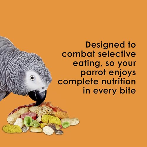 Kaytee Fiesta Parrot Food, Nutritious and Fun Blend, Supports Skin, Feather, Digestion, Brain and Heart Health, 2.5 pounds
