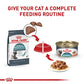 Royal Canin Feline Care Nutrition Hairball Care Adult Dry Cat Food, 6 lb Bag