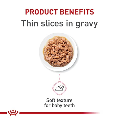 Royal Canin Feline Health Nutrition Kitten Thin Slices in Gravy Cat Food, 3 oz (Pack of 12)