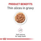 Royal Canin Feline Health Nutrition Kitten Thin Slices in Gravy Cat Food, 3 oz (Pack of 24)