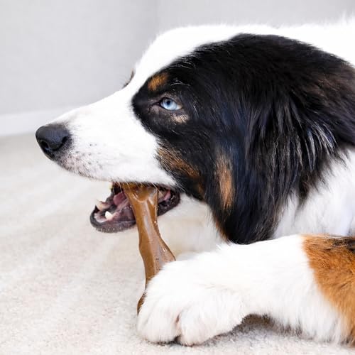 Nylabone Strong Chew Femur Bone Dog Toy Made with Real Bison & Venison, Durable Chew Toys for Aggressive Chewers, Long Lasting Dog Bone, Keeps Dogs
