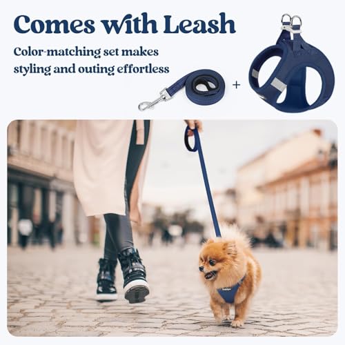 rabbitgoo Dog Harness Small Sized and Leash Set, Step in Soft Light Puppy Vest, Breathable Mesh Pet Harness, Reflective for Safe Outdoor Walking