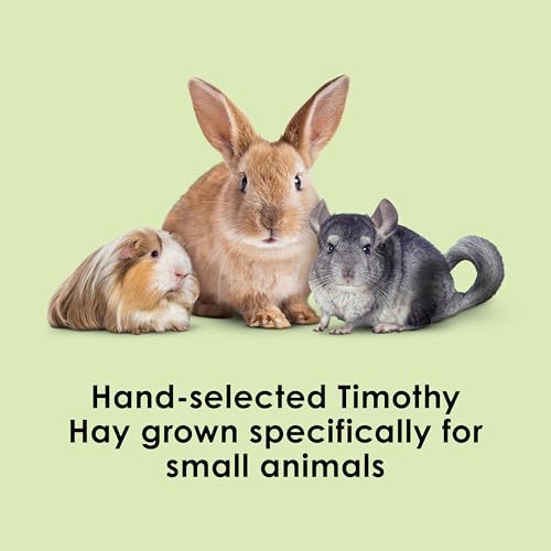 Kaytee Timothy Hay, High Fiber, Grown Specifically for Small Animals, Rabbits, Guinea Pigs, Chinchillas, 48 Ounces