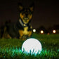 Chuckit! Glow in the Dark Bouncy Balls - Ball for Dogs, Chuckit Dog Toy, Max Glow Balls - Medium, 2.5 Inch Pack of 2