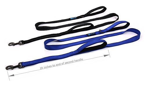 Max and Neo™ Double Handle Traffic Dog Leash Reflective - We Donate a Leash to a Dog Rescue for Every Leash Sold (Blue)