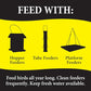 Wild Delight Advanced Formula Bugs N Berries Wild Bird Food 4.5 lbs