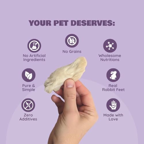 Benji & Louie Air Dried Rabbit Feet - Whole Rabbit Front Feet with Fur - Natural Healthy Dog Treats or Dog Chews, Single Ingredient, 2.5 oz, 12 Count
