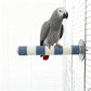AOTU Bird Perch Rough-surfaced Parrot Perch Bird Stand for Cage– Durable Beak & Claw Trimming Grinding Stone for Conure, 7.9” x 1” – Safe Non-Toxic Long-Lasting Cockatiel Cage Accessory