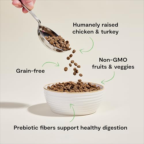 Open Farm, Grain Free Dry Cat Food, High-Protein Kibble for a Complete & Balanced Diet, Non-GMO Fruits & Vegetables, Prebiotic Fibers to Support Digestion, Homestead Turkey & Chicken Recipe, 8lb Bag