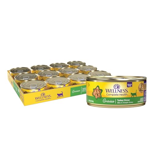 Wellness Complete Health Gravy Adult Wet Cat Food, Natural, Protein-Rich, Grain Free, 5.5 Ounce, 12 Pack, (Turkey Dinner)
