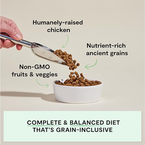 Open Farm Ancient Grains Dry Dog Food – Harvest Chicken, 22 lb