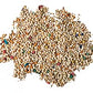 Premium Parakeet Food, 5 lb Jar