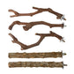 5PCS Bird Perch Stand Natural Wooden Parrot Stand Branch,3 Grape Wood Perch,2 Stand,Paw Grinding Fork Parakeet Chewing Stick Exercise Training Branches for Cockatiels,Small Medium Birds
