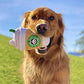 Nestpark Parody Star Pups Coffee Dog Toy Pup'kin Spice Latte - Funny Plush Squeaky Crinkle Dog Toys for Medium, Small and Large for Dog Birthday