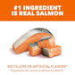IAMS Proactive Health Adult Healthy Dry Cat Food with Real Salmon, 7 lb. Bag