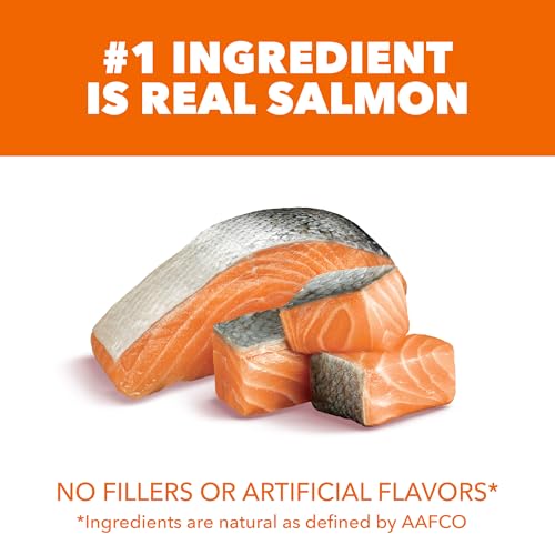 IAMS Proactive Health Adult Healthy Dry Cat Food with Real Salmon, 7 lb. Bag