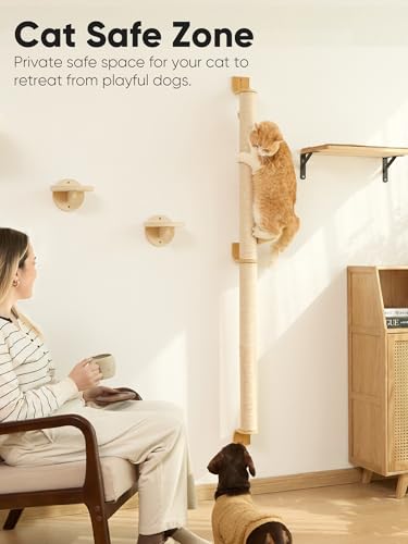 FUKUMARU Cat Wall Scratcher, 60" Tall Wall Mounted Kitten Scratching Post, Sturdy Sisal Climbing Tree for Indoor Large Cats