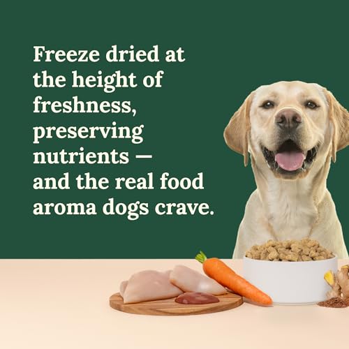 360 Pet Nutrition Freeze-Dried Raw Dog Food – Chicken Recipe with Liver & Organs, High Protein, Omega-3s, Fruits, Veggies & Superfoods, Grain-Free