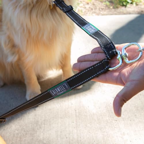 Caldwell's Pet Supply Co. Leash Coupler, Two Dog Leash Splitter to Split Leashes for Walking 2 Dogs, Tangle Free Double Dog Leashes Connector