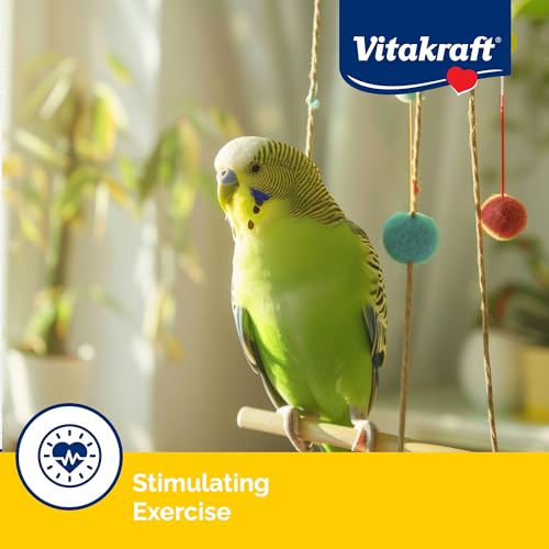 Vitakraft Crunch Sticks Parakeet Treat - Triple-Baked Millet Parakeet Treats with Natural Wood Center - Crunchy & Nutritious Bird Treat Sticks for Small Animals (12 Count, Honey, Egg, and Apple)
