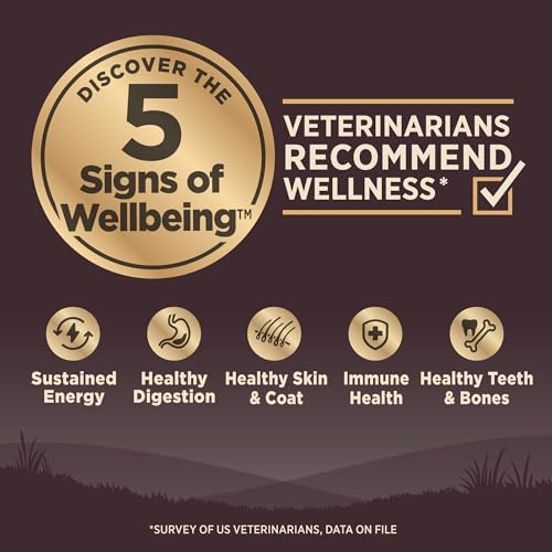 Wellness CORE Adult Dry Dog Food, Grain Free Kibble, Natural, High Protein, Chicken Free, Whitefish, Herring and Salmon Recipe, 26 lb Bag