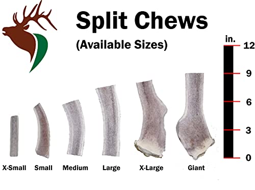 Elkhorn Premium Chews – Elk Antlers for Dogs, X Large (6-10") Split, 1 Pack, All Natural Dog Chew for X Large Dogs, Premium Naturally Shed Antler