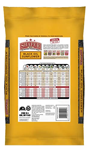 51041 40-Pound Bag, Black Oil Sunflower Wild Bird Food