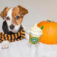 Nestpark Parody Star Pups Coffee Dog Toy Pup'kin Spice Latte - Funny Plush Squeaky Crinkle Dog Toys for Medium, Small and Large for Dog Birthday