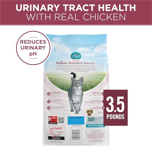 Purina ONE High Protein Dry Cat Food, +Plus Urinary Tract Health Formula - 3.5 lb. Bag
