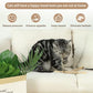 Tocirelo Silvervine Sticks Cat Toys - 6Pack Natural Cat Chew Toy Teeth Cleaning, Matatabi Dental Care Kitten Treat, Catnip Cat Teething Toys, Catmint