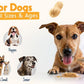 BUDDY BUDDER, Ruff Ruff Raw, Natural Dog Peanut Butter, Dog TreatMade in USA, (17 oz Jars)
