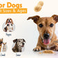 Pumpkin Pup Buddy BUDDER, 100% Natural Dog Peanut Butter, Healthy Peanut Butter Dog Treats, Made in USA, (17oz Jars)