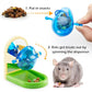 Rat Enrichment Toys, Interactive Foraging Toys For Rats, Intelligence Growth Rat Enrichment Puzzle Games, Treat Dispensing Slow Feeder for Rats Cage Toy, Bird Foraging Toy for Parakeet Conure (1Pcs)
