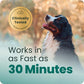 VetriScience Calm & Confident Chews, Composure Clinically Tested Calming and Anxiety Supplement for Dogs, Reduce Stress and Fear, Ideal for