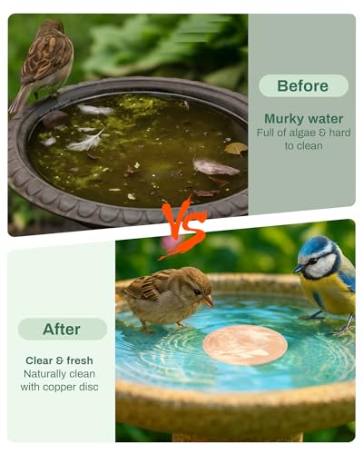 Bird Bath Purification Disk Pure Copper Outside Winter Solar Power Birdbath Heater Deicer Cage Hanging Bowl Metal Warmer Deck Railing Glass Concrete Ceramic Stone Stand Outdoor Fountain Station