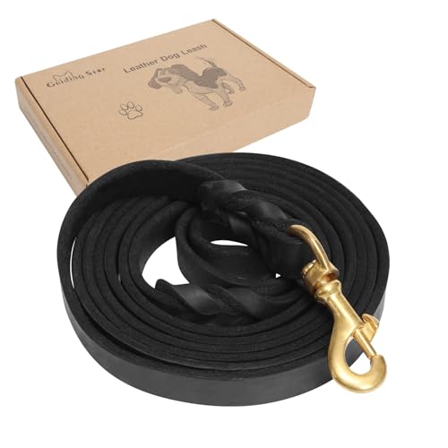 Guiding Star Leather Dog Leash 6ft, Dog Leashes for Large Dogs Heavy Duty, Soft Braided Handmade Leather Training Leash for Large & Medium Dogs